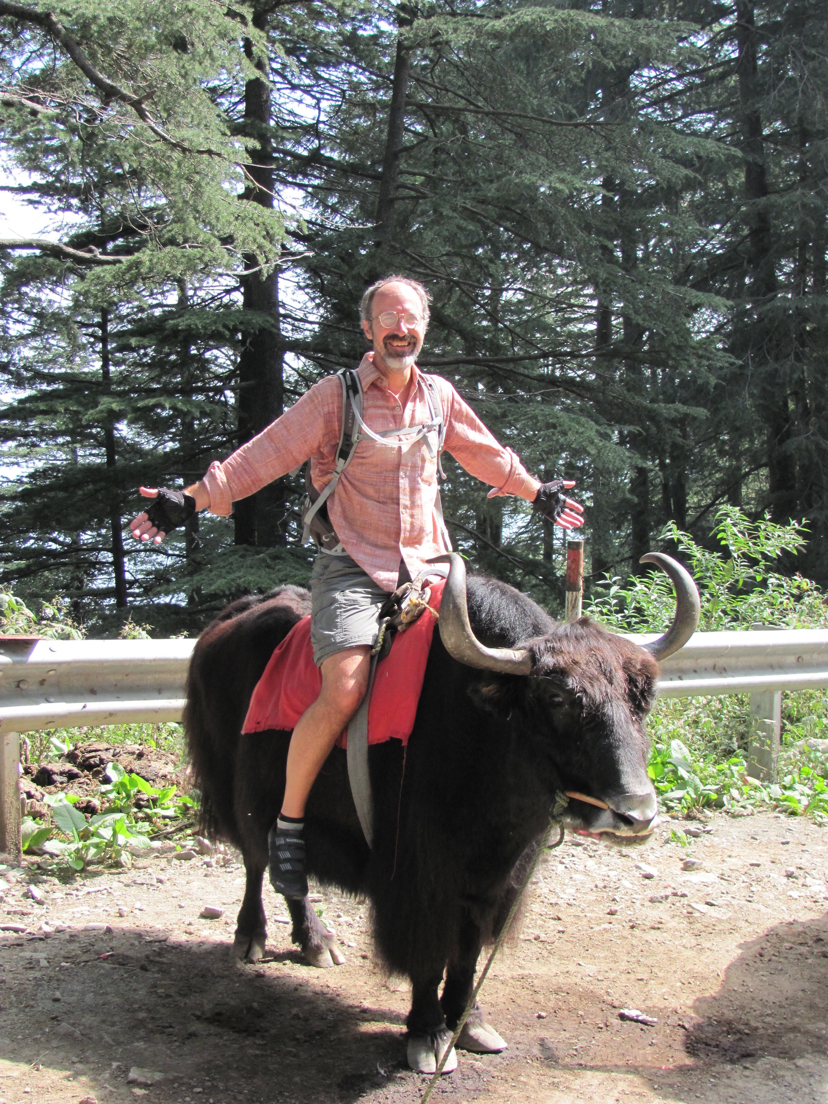 First yak ride