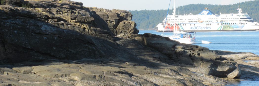 Pacific Marine Circle Route Bike Tour