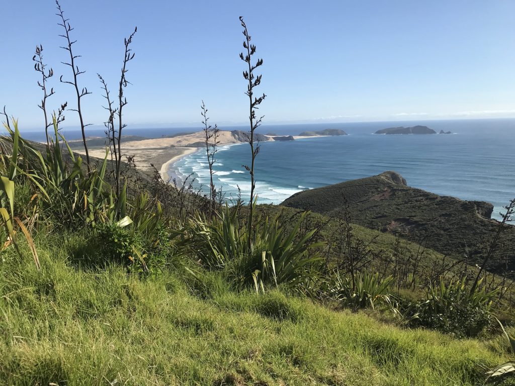 Cape Reinga