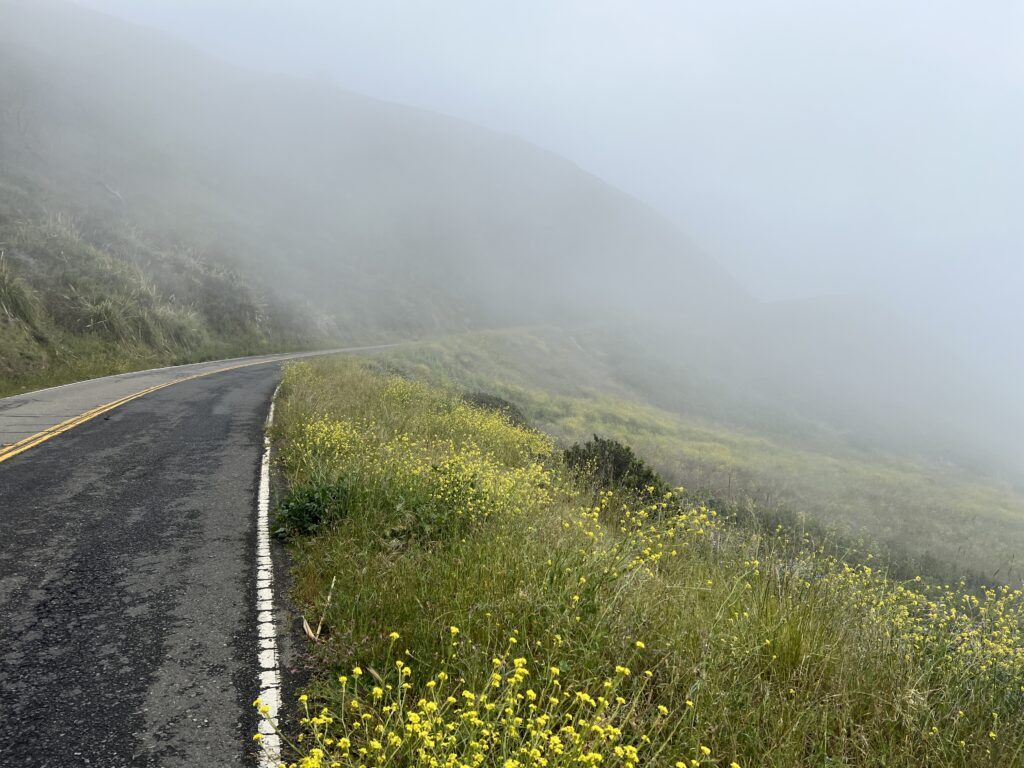 Jenner Headlands