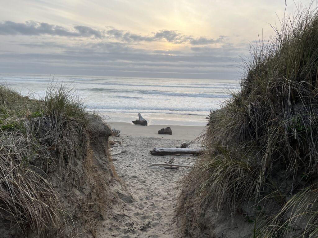 Harris Beach SP OR