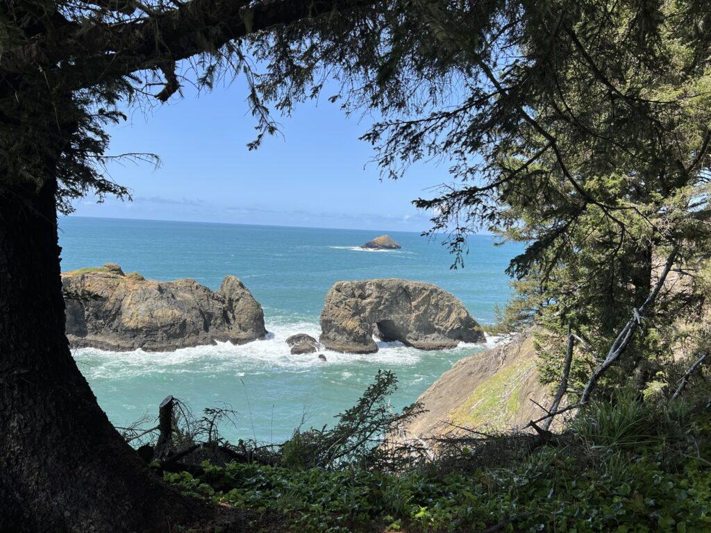 Arch Cape viewpoint